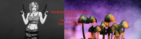2c-b Богородицк