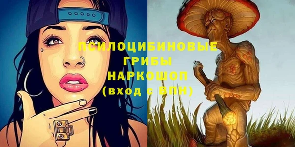 гашиш Богданович