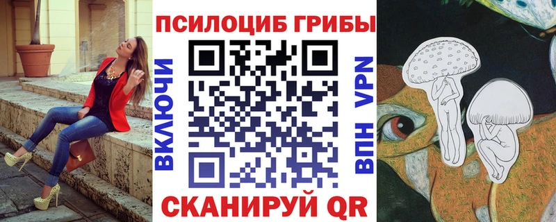 купить   Южноуральск  Галлюциногенные грибы Psilocybe 
